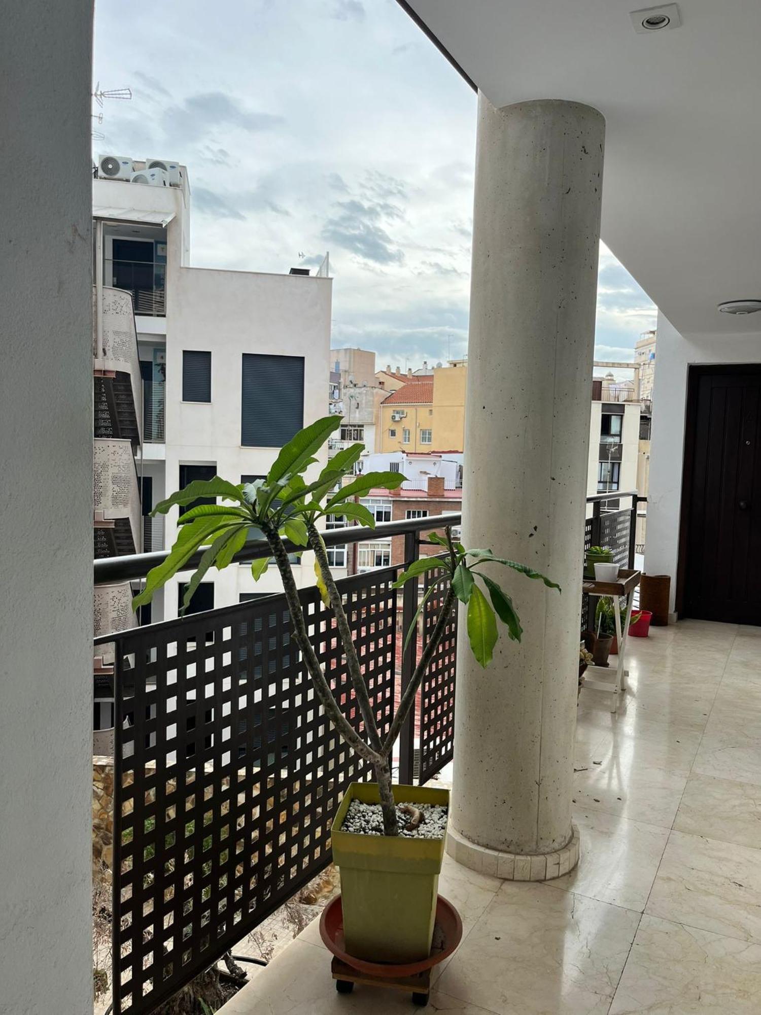 El Torcal Luxury Apartment With Free Parking Málaga Eksteriør bilde